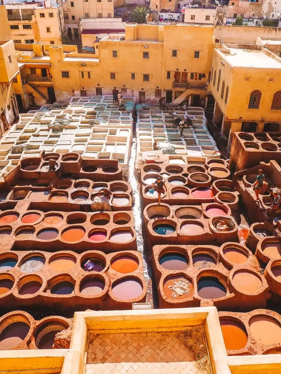 Stone dye vats of the Chouara tannery seen from above